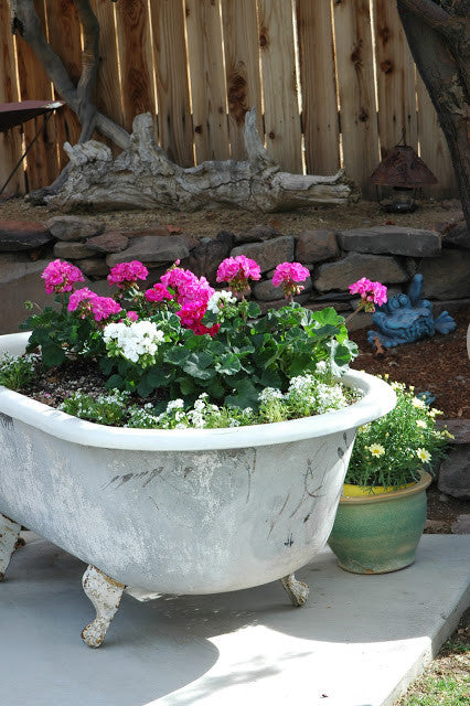 Unique Container Gardens