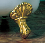 Close-up of polished brass claw foot from Still Waters Bath